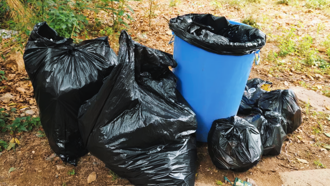 World Environment Day | Jiangsu Beiren launches 2025 public welfare mountain cleaning activity World Environment Day | Jiangsu Beiren launches 2025 public welfare mountain cleaning activity